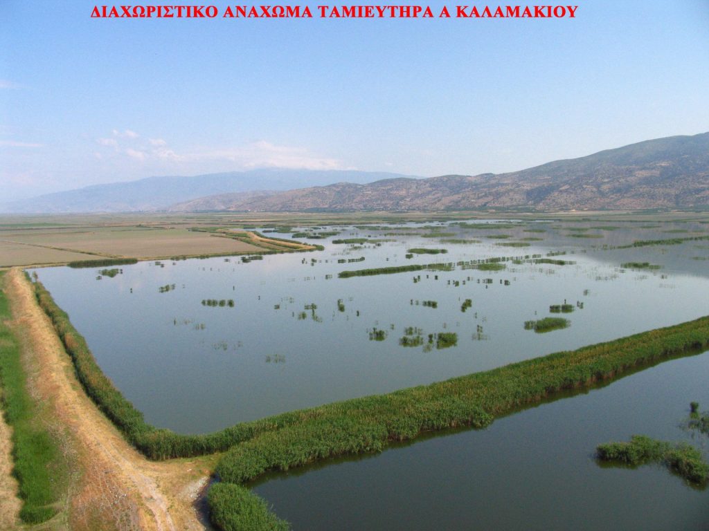 2005_5_tamieytiras_a_kalamakioy_diahoristiko