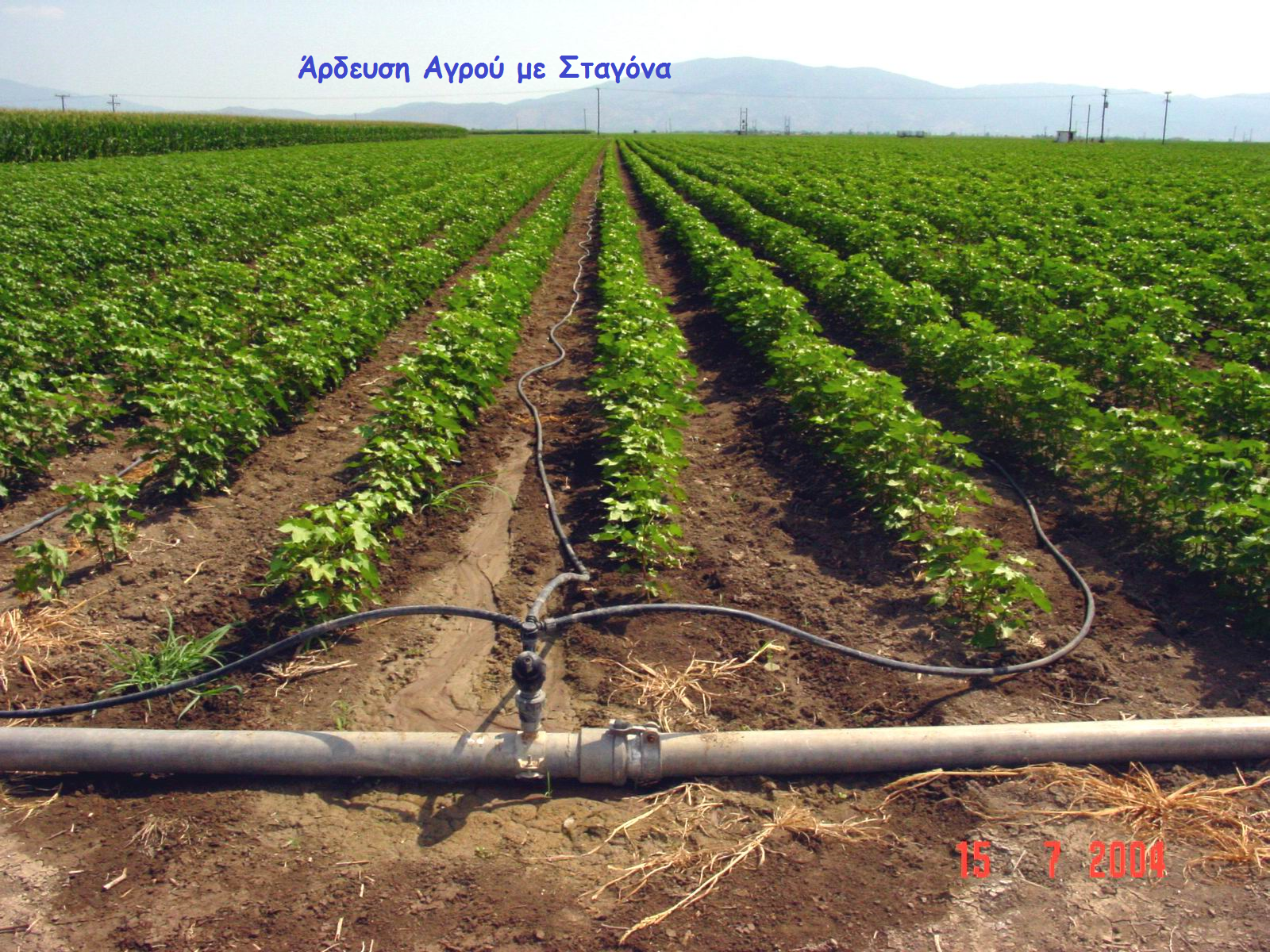 Άρδευση Αγρού με Σταγόνα