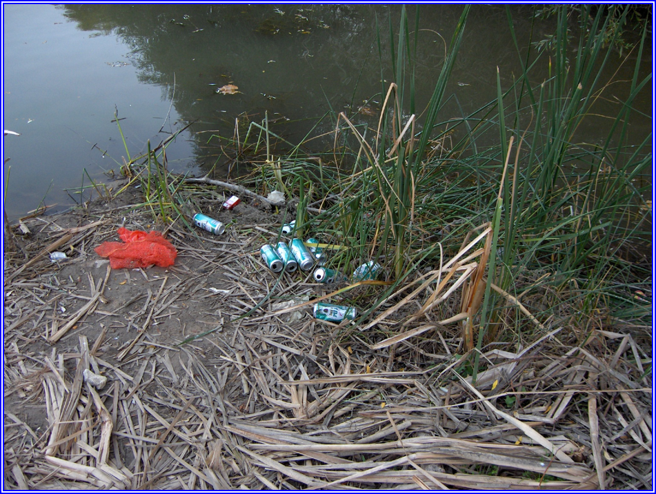 Ρύπανση Νερού