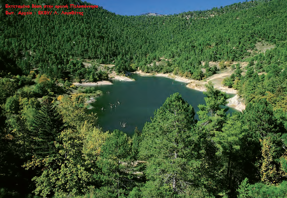 Εκτεταμένα δάση στην ορεινή Πελοπόννησο - Φωτ. Αρχείο ΕΚΒΥ/Λ. Λογοθέτης