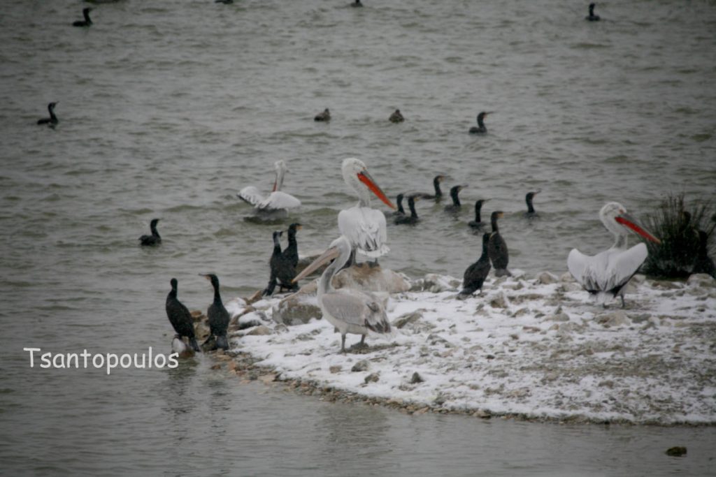 Φωτογραφία Τσαντόπουλου - Ταμιευτήρας Κάρλας