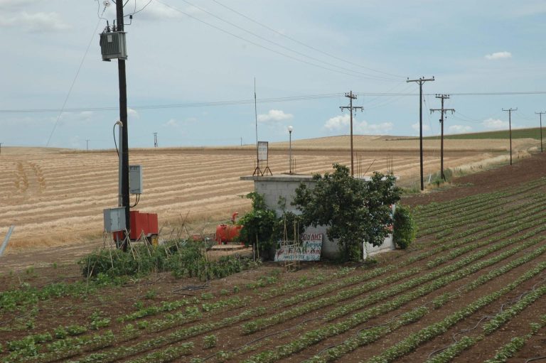 agrotikos_exilektrismos