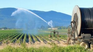 bdb956de2eab25a0b51972f431b8abd6_XL