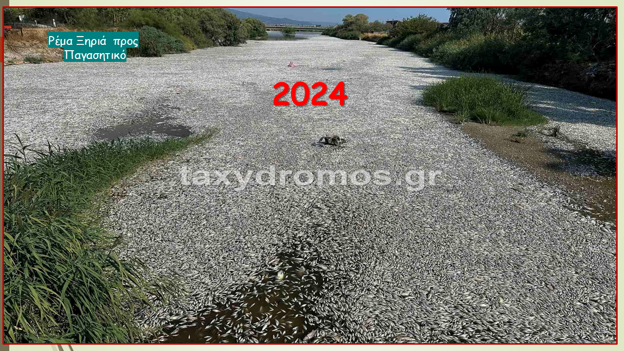 2024 ΗΜΕΡΟΛΟΓΙΟ