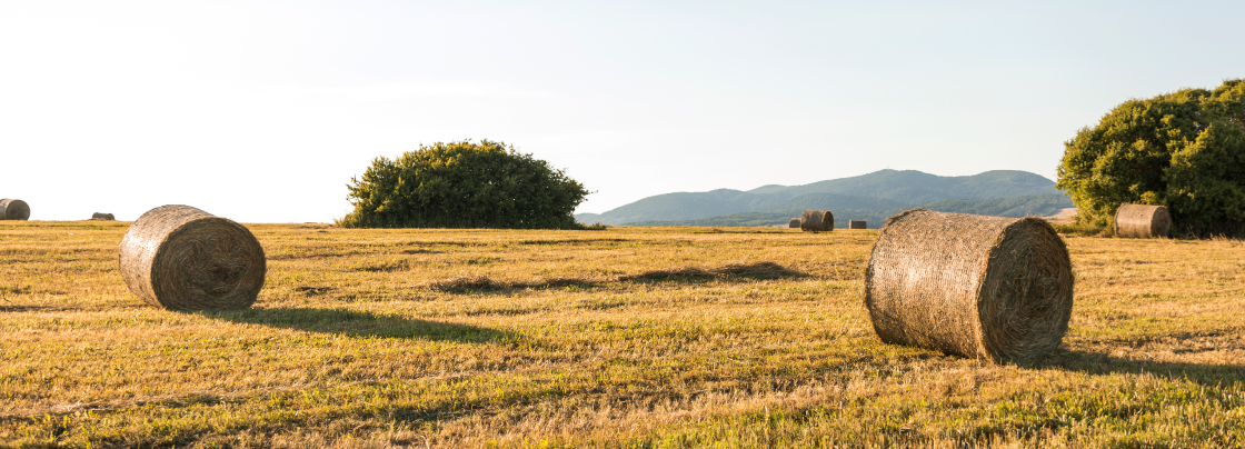 poies_nees_texnologies