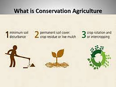 GEMTOS-PROSTASIA-meros2o2