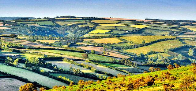 74506091_2755845434440003_1893835515292024832_n