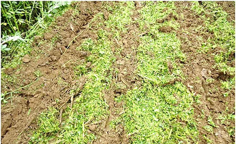 GEMTOS-EPIDEIJH-MEROS2o-25-5-A