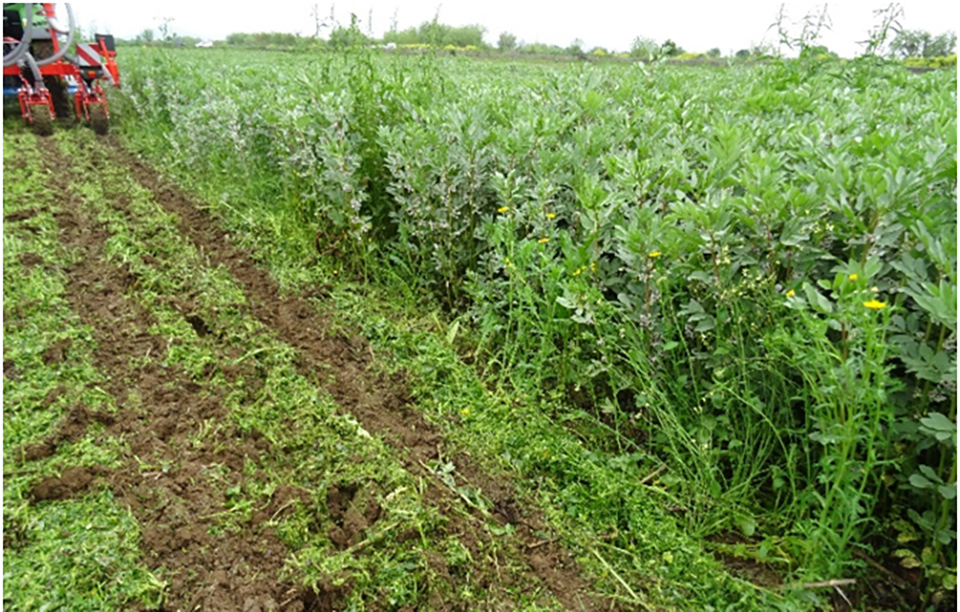 Γέμτος Μηχανή κατεργασίας