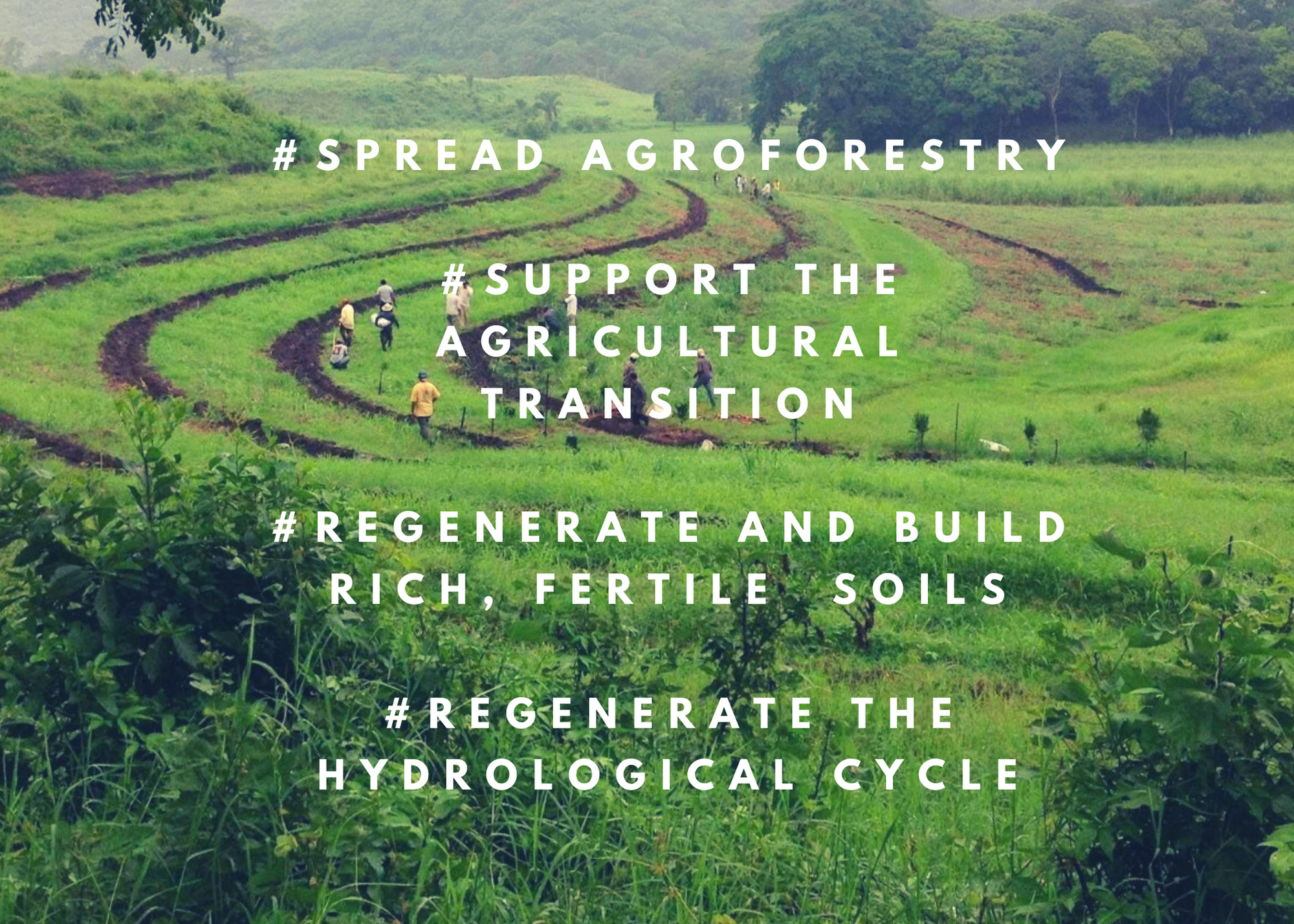 2025 07 21 regenerative-farming-greece