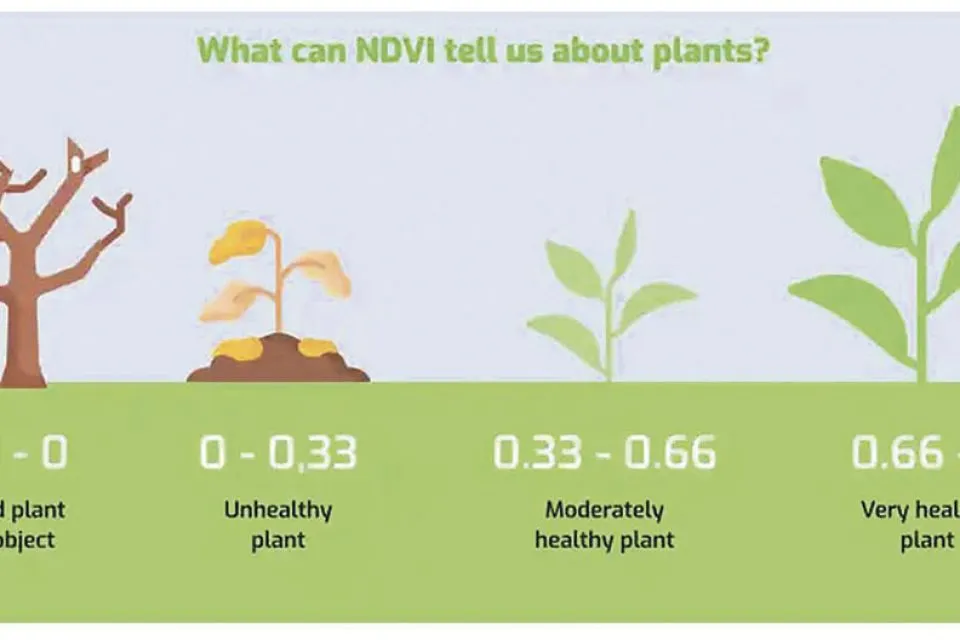 GEMTOS-AMERIKANIKH-meros2o1-960x640-c-center