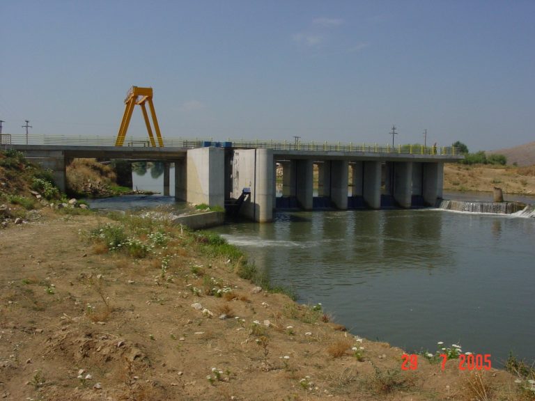 THIROFRAGMA METAMOSFOSIS