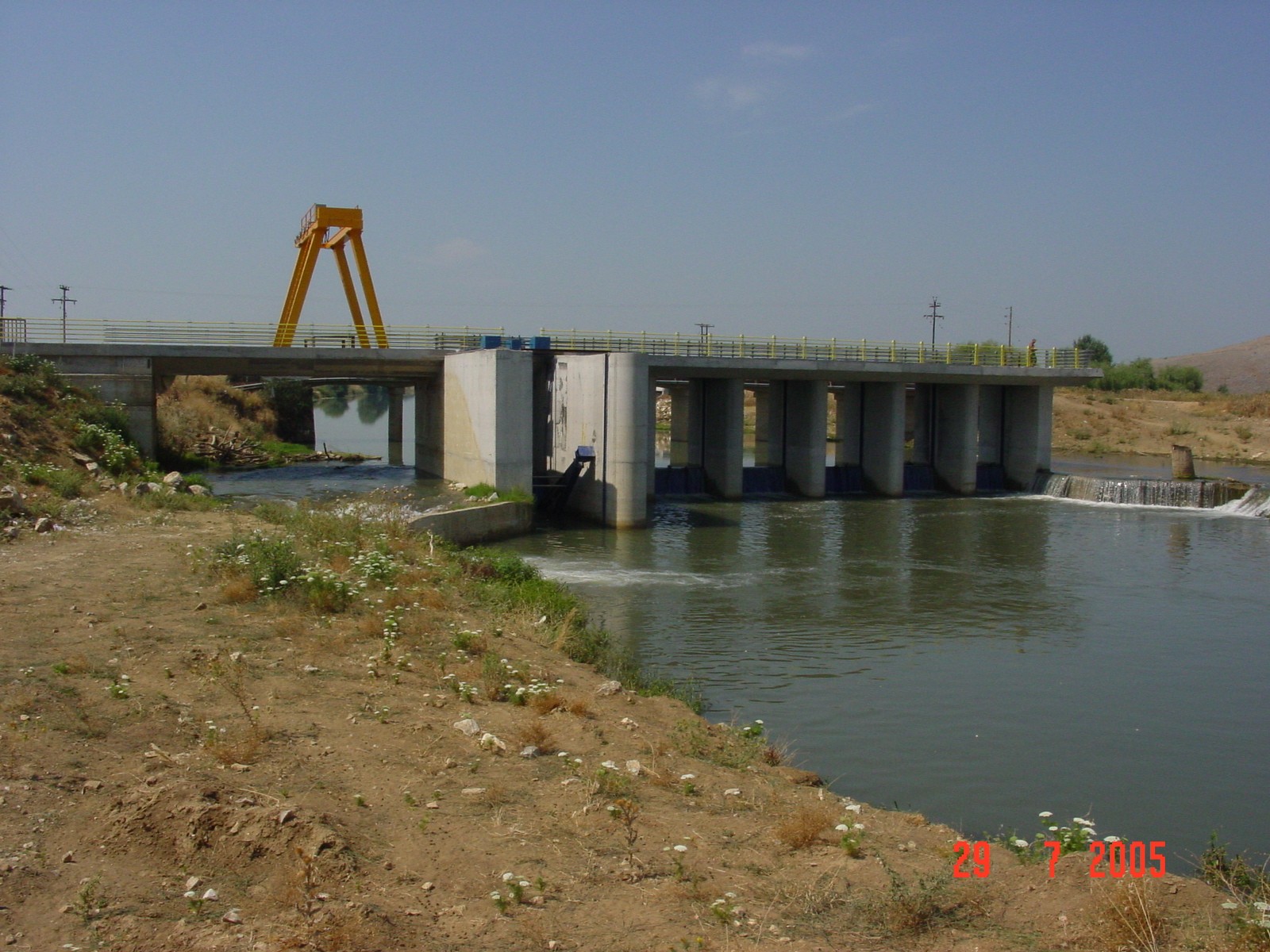 THIROFRAGMA METAMOSFOSIS