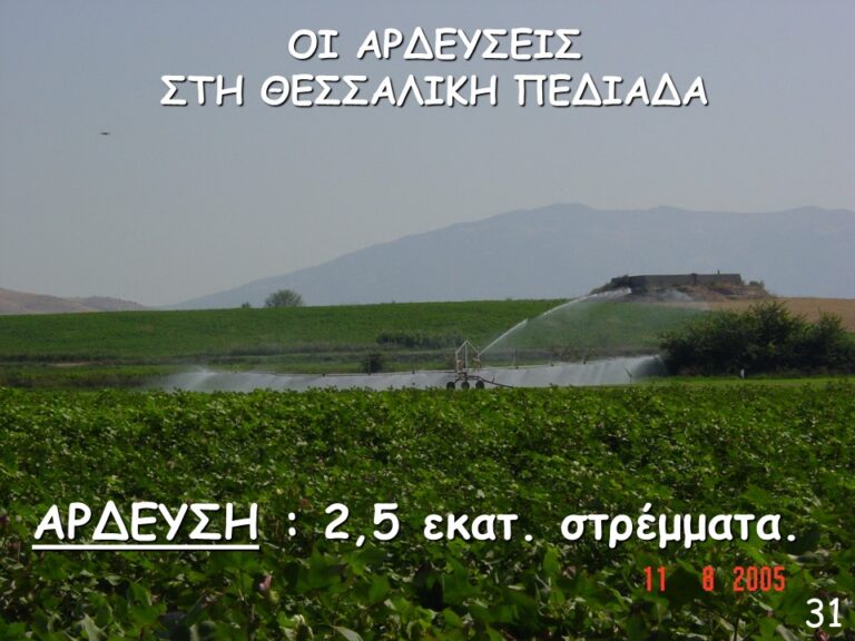 ardefsi kampou thessalias
