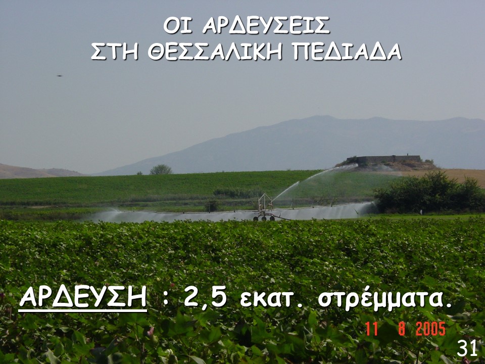 ardefsi kampou thessalias